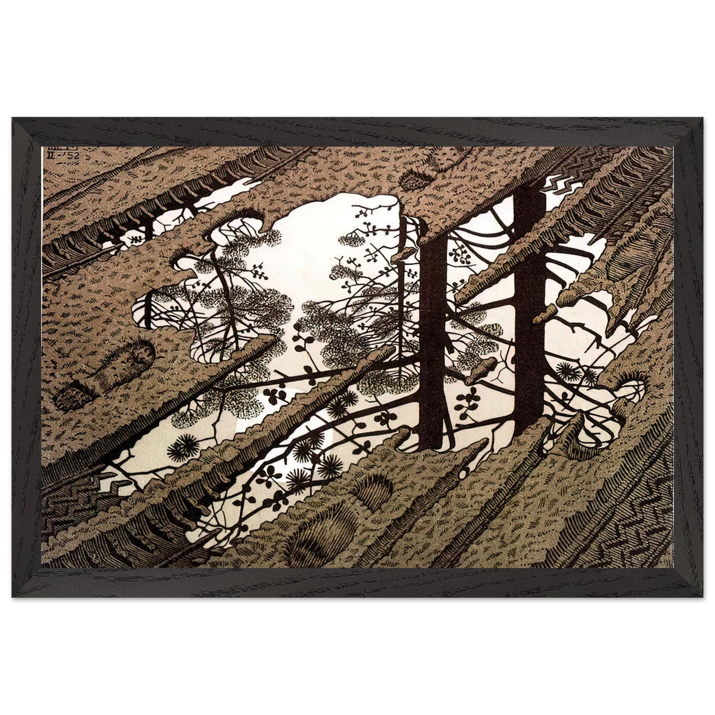 MC Escher - PUDDLE Wall Art - 60x80 cm / 24x32 inches - Premium Wooden Framed Poster With Fine Art Paper - Wood frame