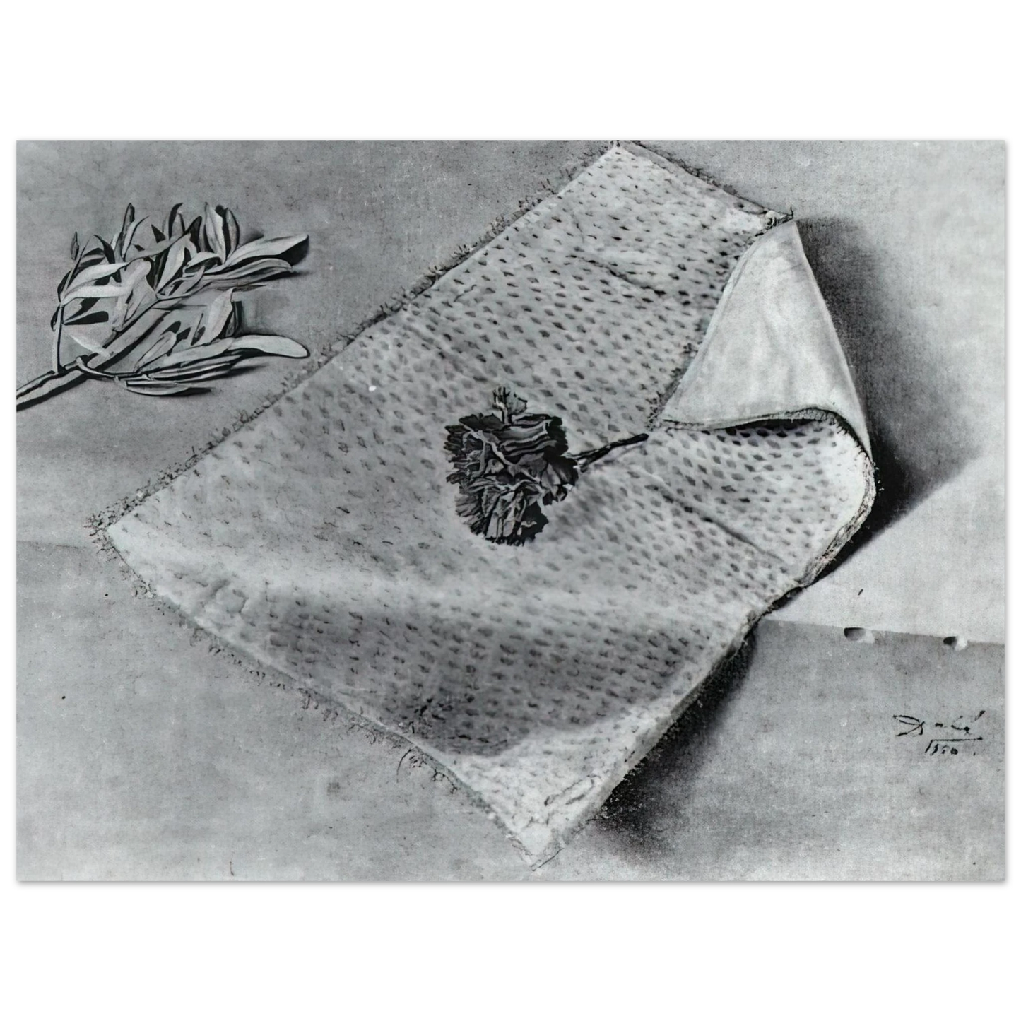 Salvador Dali - CARNATION AND CLOTH OF GOLD Fine Art Poster - Default Title