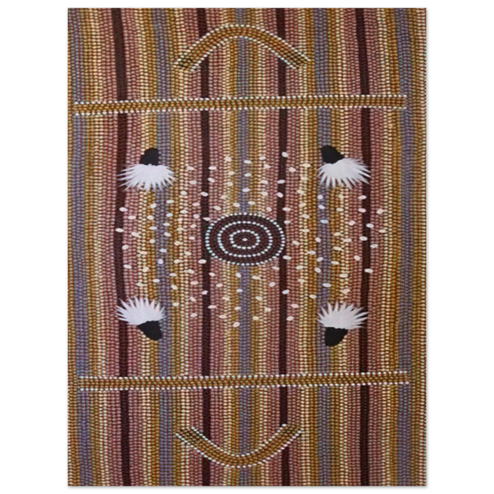 Clifford Possum Tjapaltjarri - Bush Plum Dreaming - Native Art 75x100 cm / 30x40inches Fine Art Poster