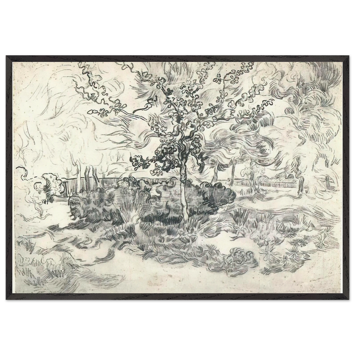 Garden of the Asylum - Vincent van Gogh 70x100 cm / 28x40 inches Framed Art Print – Black Wooden Frame