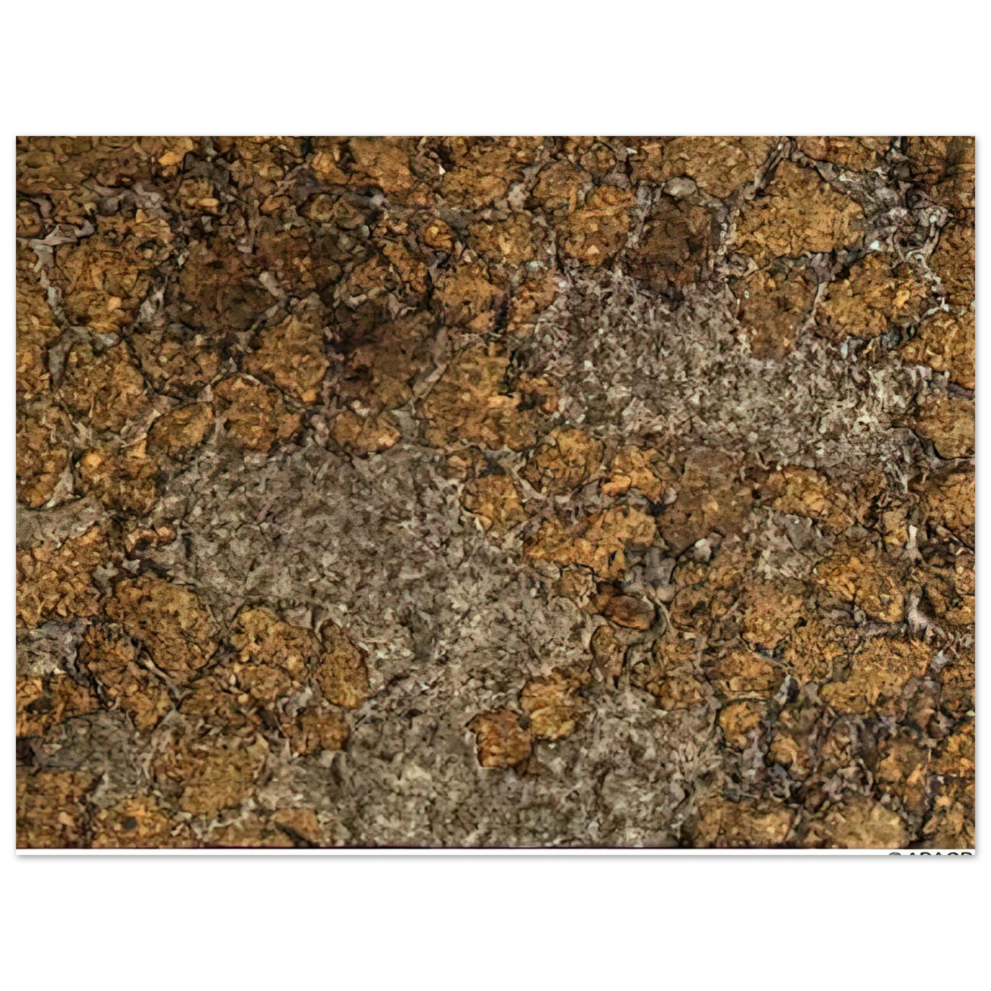 Jean Dubuffet - LIFE WITHOUT THE MAN III Fine Art Poster - Default Title