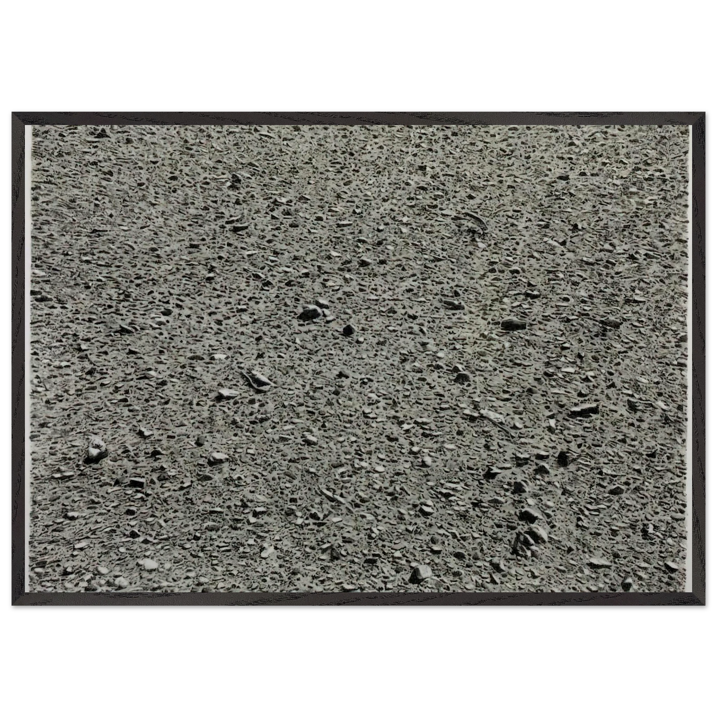 DESERT 1975 - Vija Celmins Framed Art Print – Black Wooden Frame - Default Title - -Framed Art Print