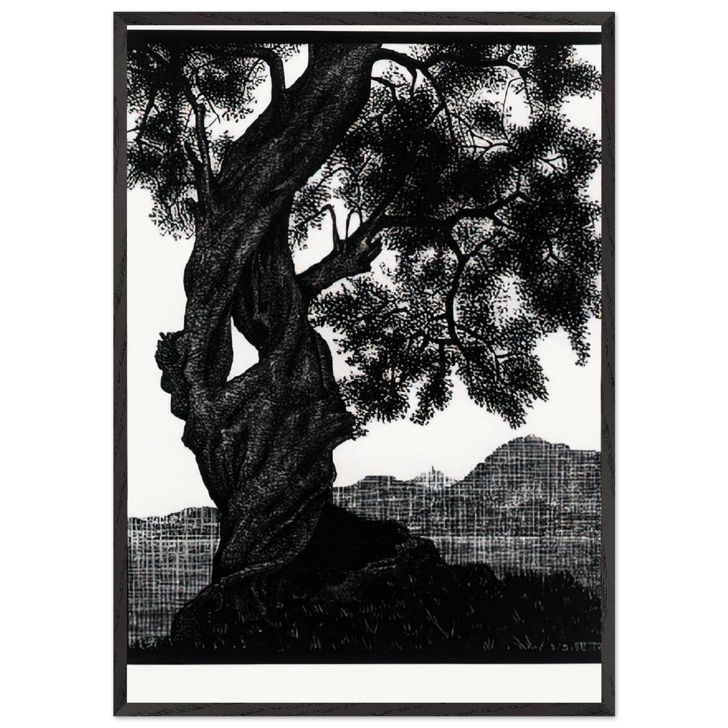 OLD OLIVE TREE CORSICA - MC Escher Framed Art Print – Black Wooden Frame - Default Title - -Framed Art Print