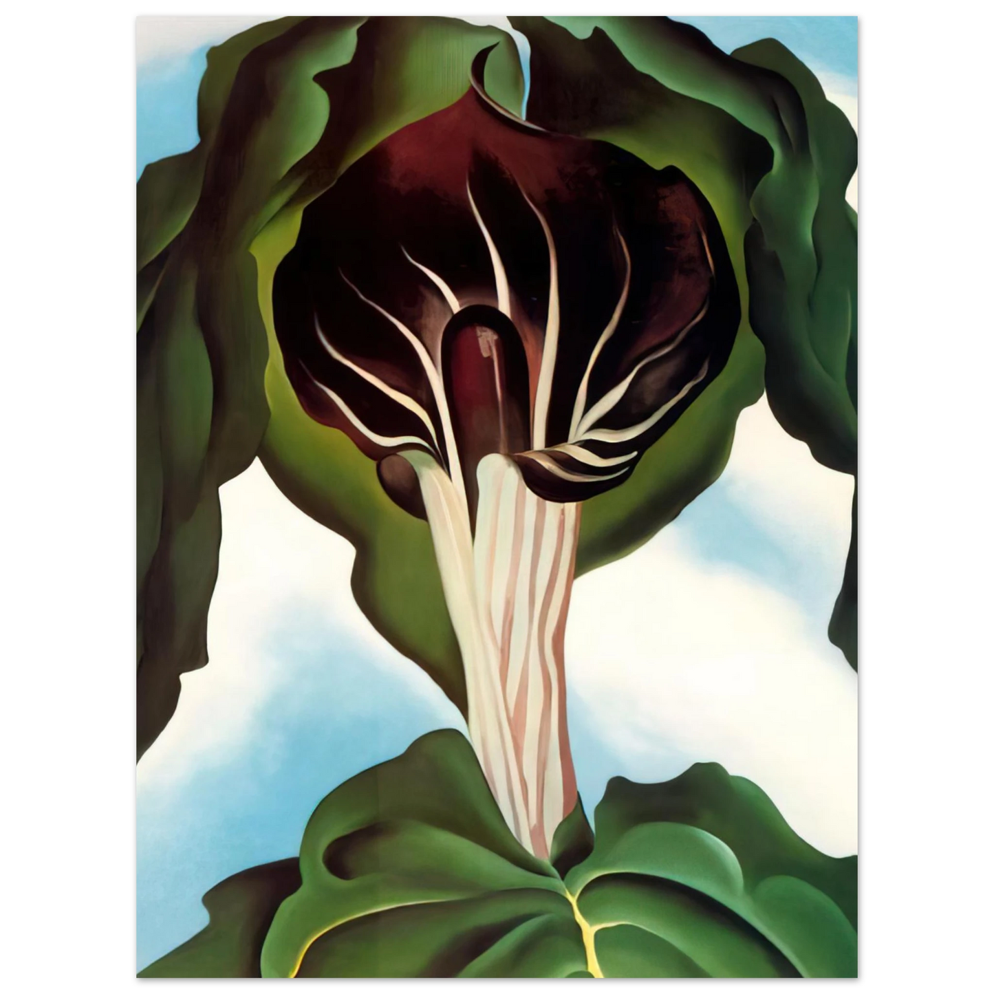 Georgia O'Keeffe - Jack-in-the-Pulpit III Fine Art Poster - 13x18 cm / 5x7 inches