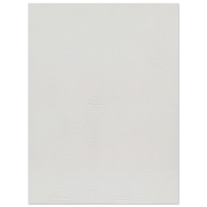 Robert Ryman - Twin 75x100 cm / 30x40inches Fine Art Poster