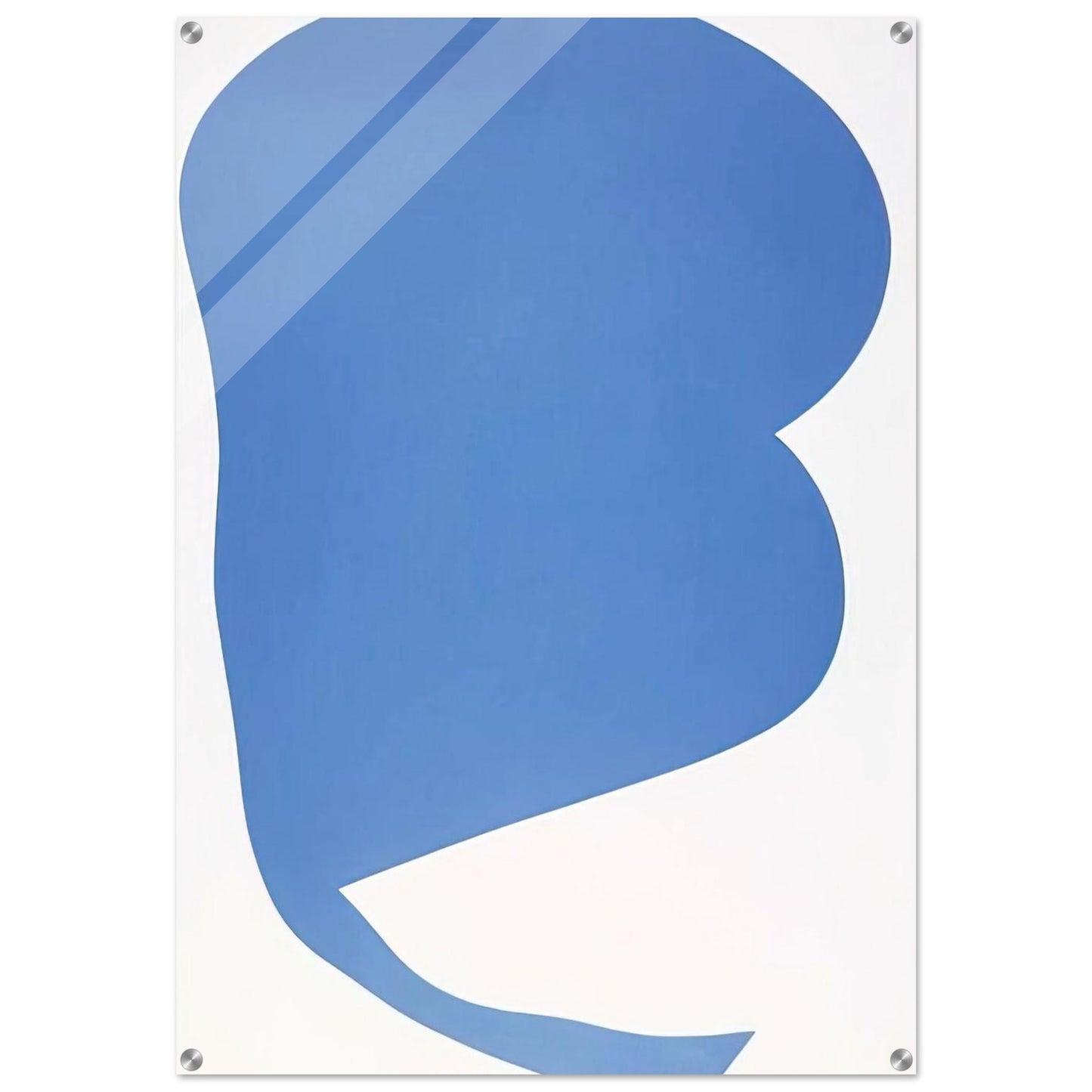 Blue on White - Ellsworth Kelly Acrylic Print - 70x100 cm / 28x40″ inches