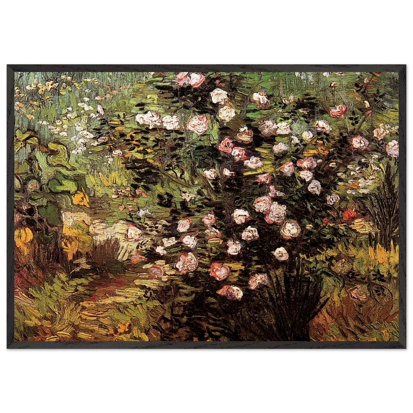 Rosebush in Blossom - Vincent van Gogh Framed Art Print – Black Wooden Frame - Default Title - -Framed Art Print