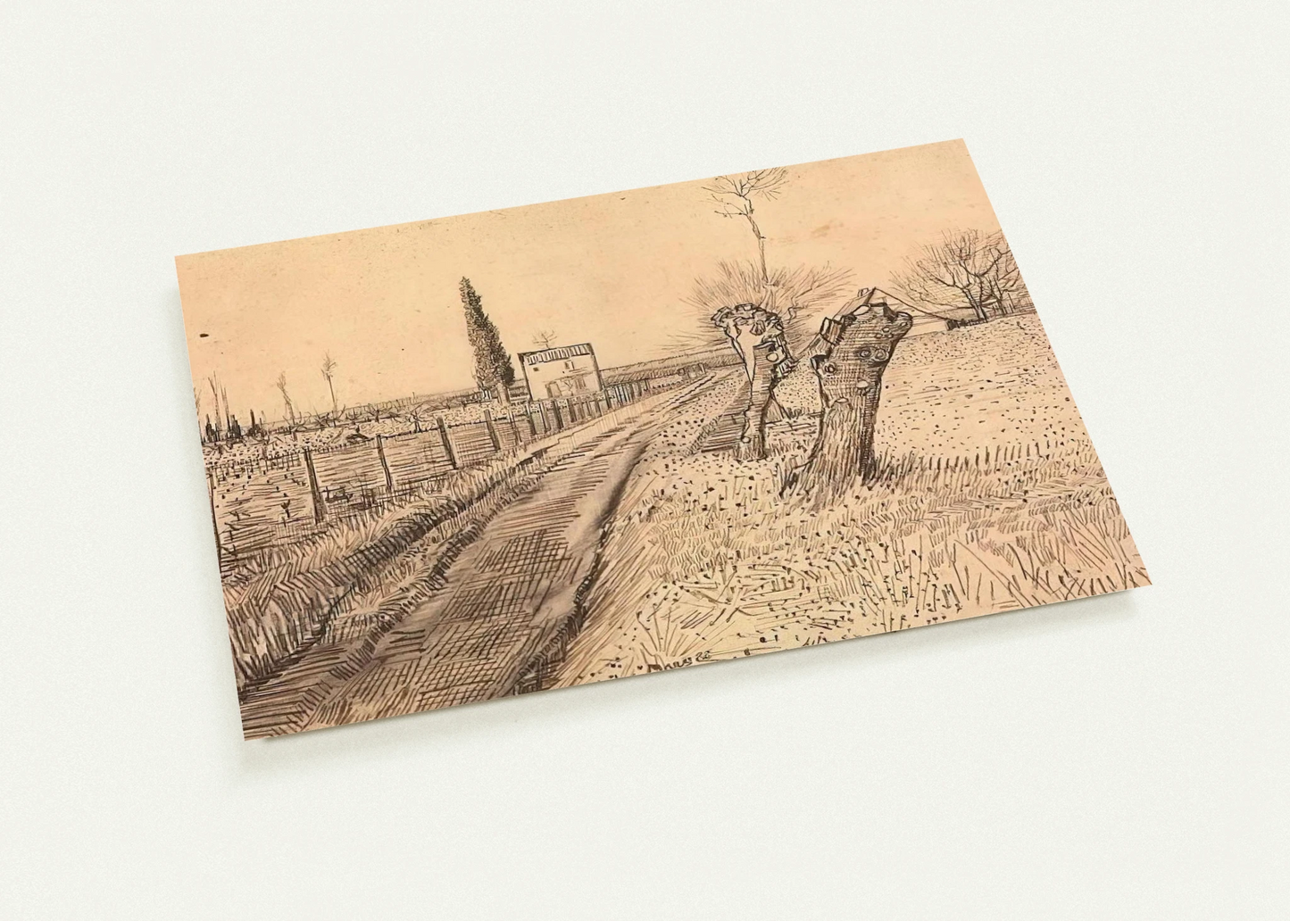 Landscape with Path and Pollard Trees By Vincent van Gogh Pack of 10 Post Cards | Vincent van Gogh Post Cards | A6 (10.5 x 14.8 cm) - 4.1 x 5.8 inches