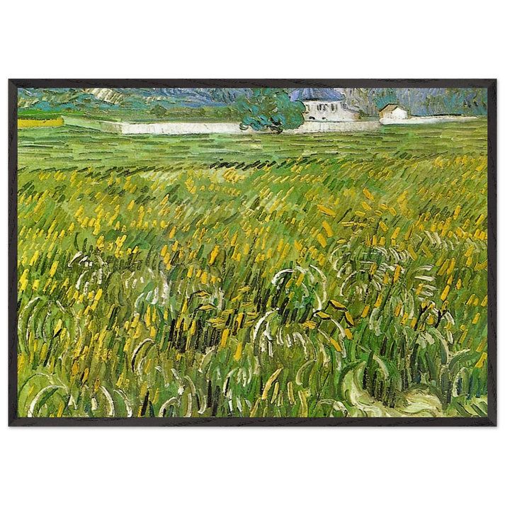 Wheat Field at Auvers with White House - Vincent van Gogh 70x100 cm / 28x40 inches Framed Art Print – Black Wooden Frame