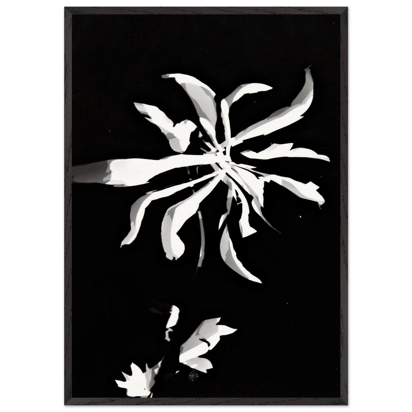 Changing patterns - Laszlo Moholy-Nagy 70x100 cm / 28x40 inches Framed Art Print – Black Wooden Frame