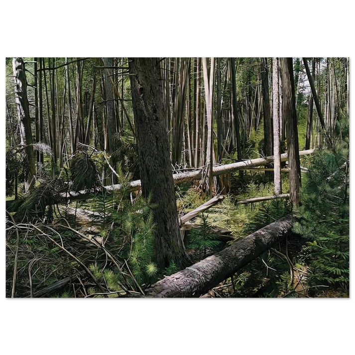 NEAR HUNTERS BEACH ACADIA NATIONAL PARK 2008 - Richard Estes Brushed Aluminum Print - 70x100 cm / 28x40 inches | Richard Estes Aluminum Print | Richard Estes Prints