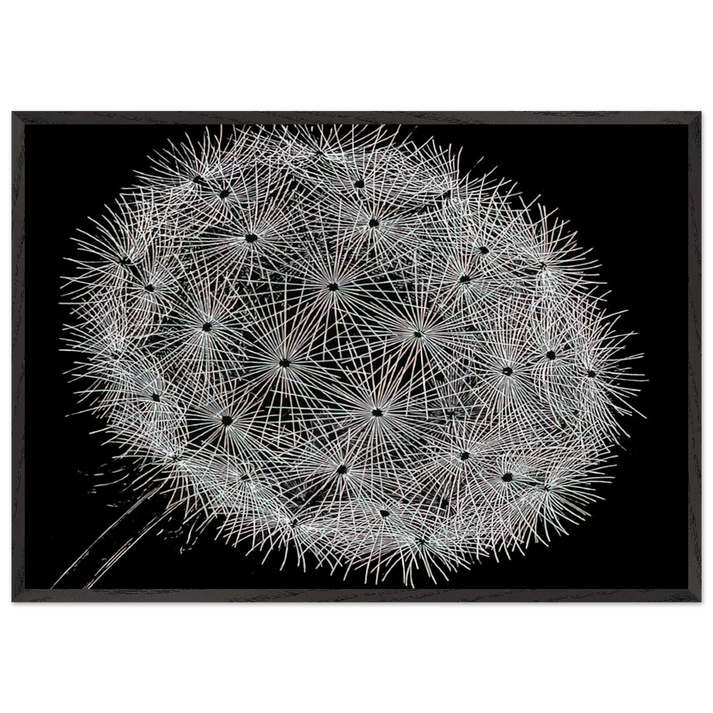 BLOWBALL II - MC Escher 70x100 cm / 28x40 inches Framed Art Print – Black Wooden Frame | Maurits Cornelis Escher Prints