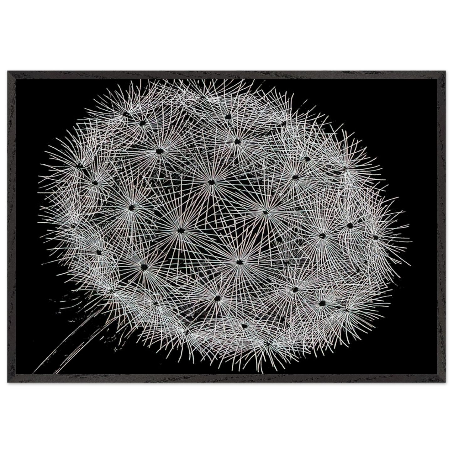 BLOWBALL II - MC Escher Framed Art Print – Black Wooden Frame - Default Title - -Framed Art Print