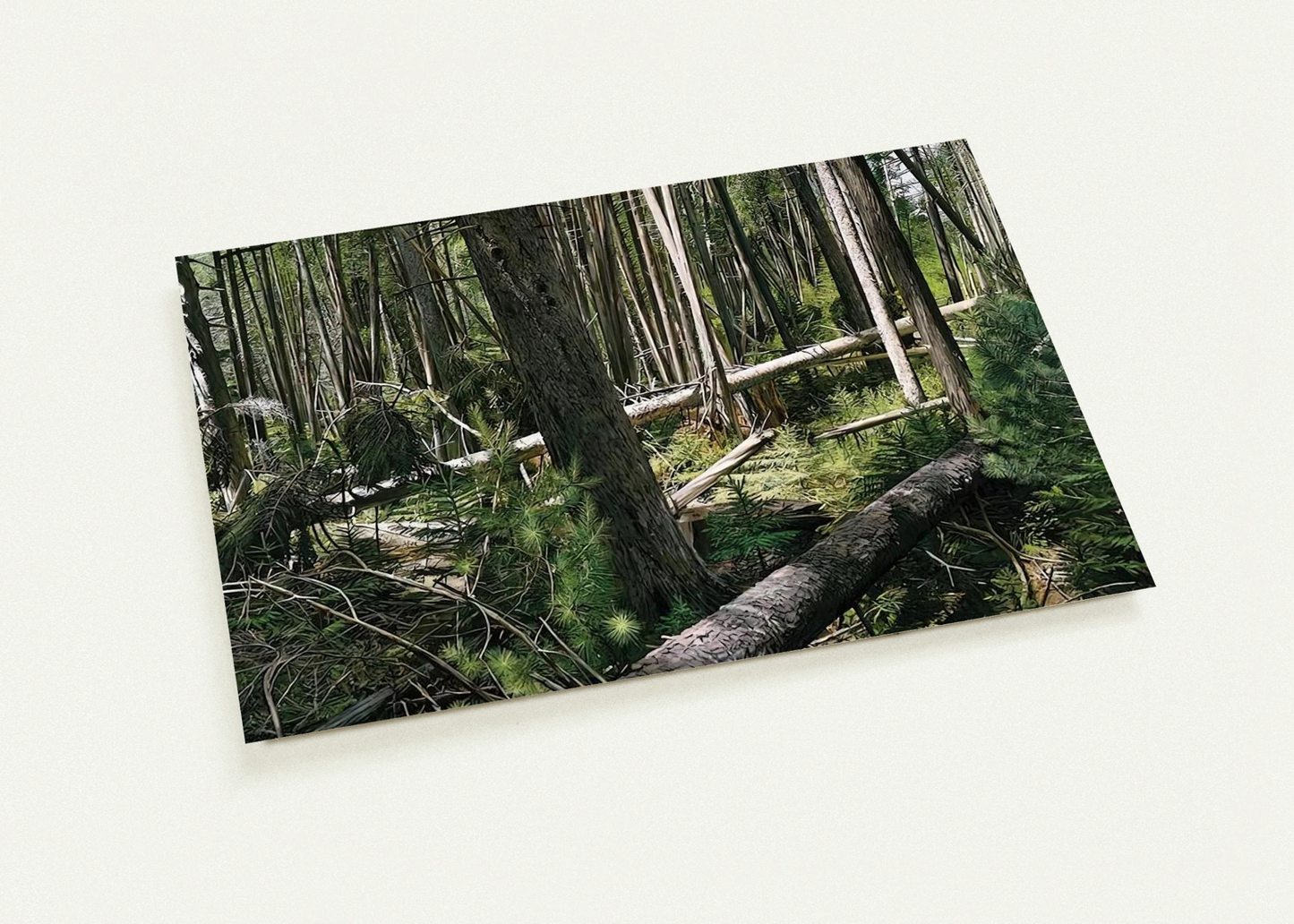 65818114-59de-4a16-a4fb-0563cac7fc4f