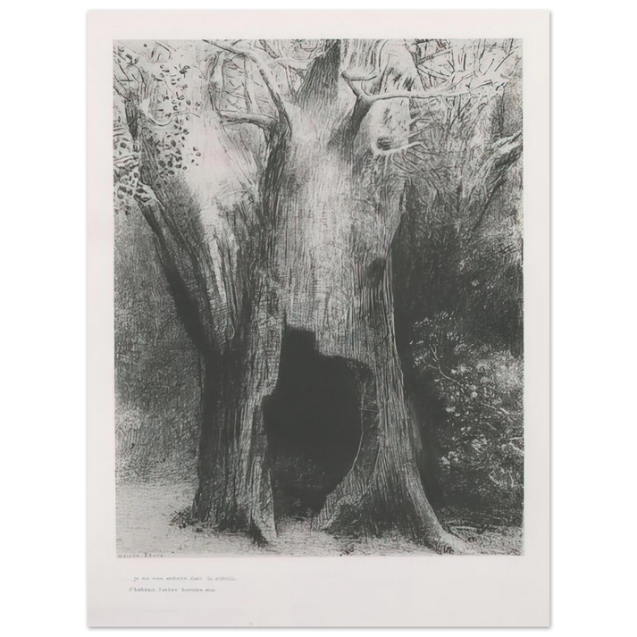Odilon Redon - I PLUNGED INTO SOLITUDE I DWELT IN THE TREE BEHIND ME PLATE 9 1896 75x100 cm / 30x40inches Fine Art Poster
