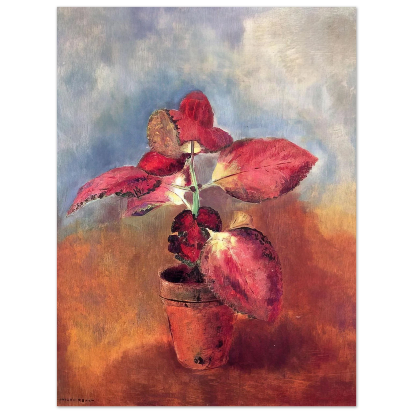 Odilon Redon - BEGONIA IN A POT Fine Art Poster - Default Title