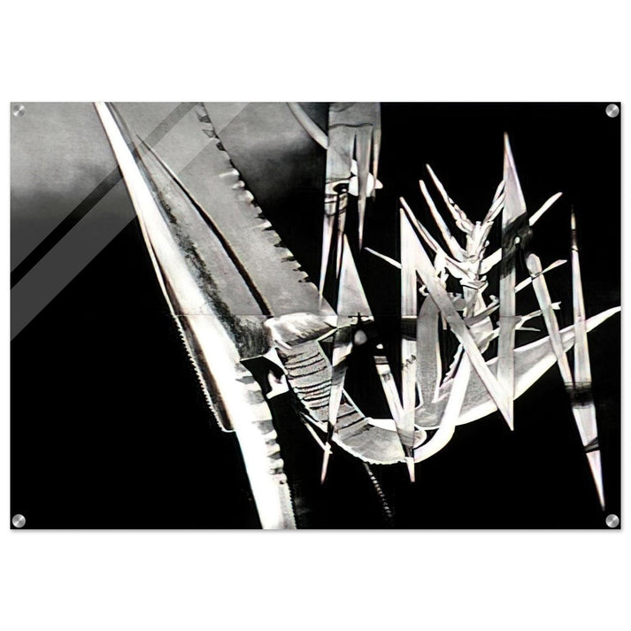 The Prickly Dark - James Rosenquist Acrylic Print - 70x100 cm / 28x40″ inches