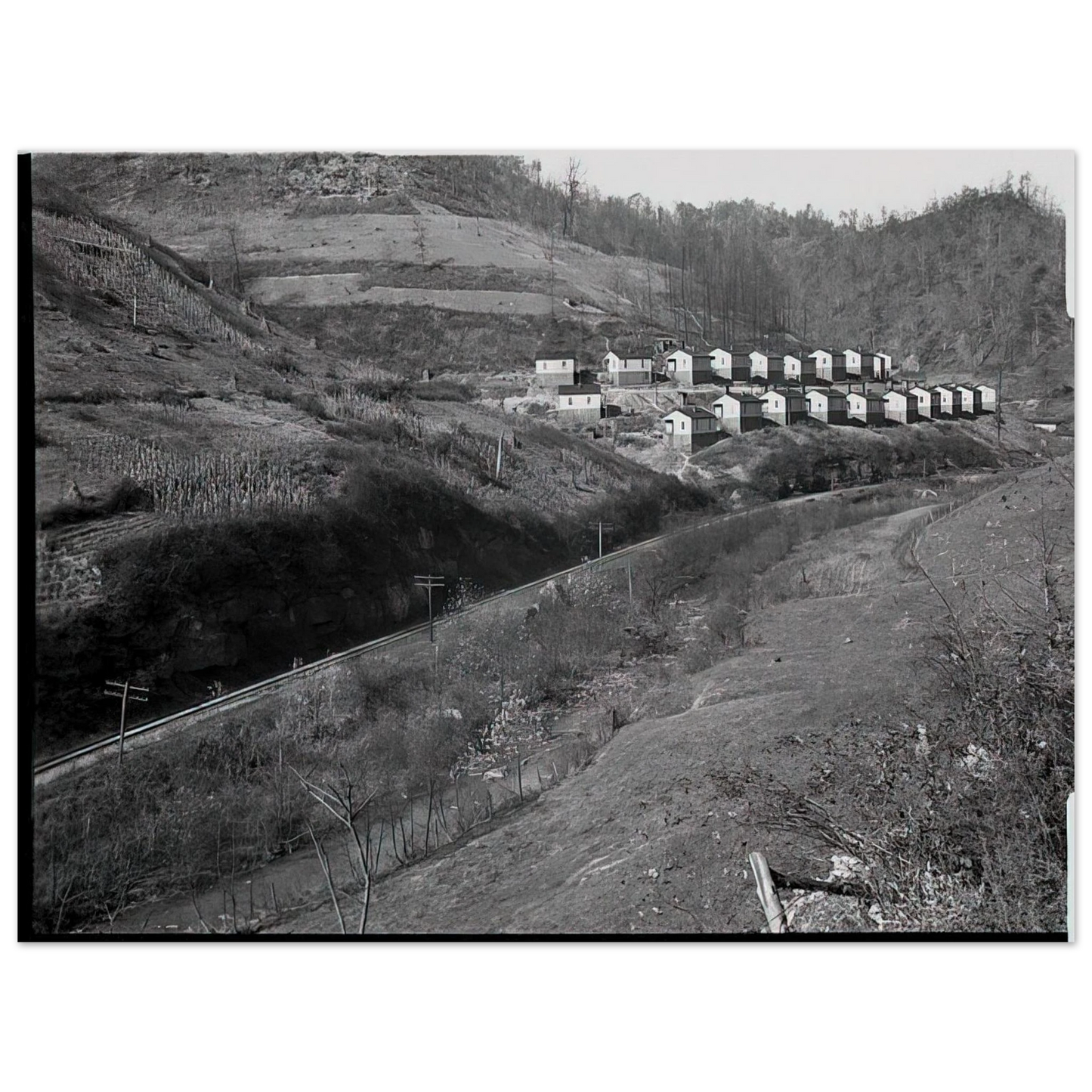 Ben Shahn - COAL COMPANY TOWN IN JENKINS 1935 Fine Art Poster - Default Title