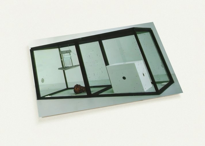 A THOUSAND YEARS By Damien Hirst Pack of 10 Post Cards | Damien Hirst Post Cards | A6 (10.5 x 14.8 cm) - 4.1 x 5.8 inches