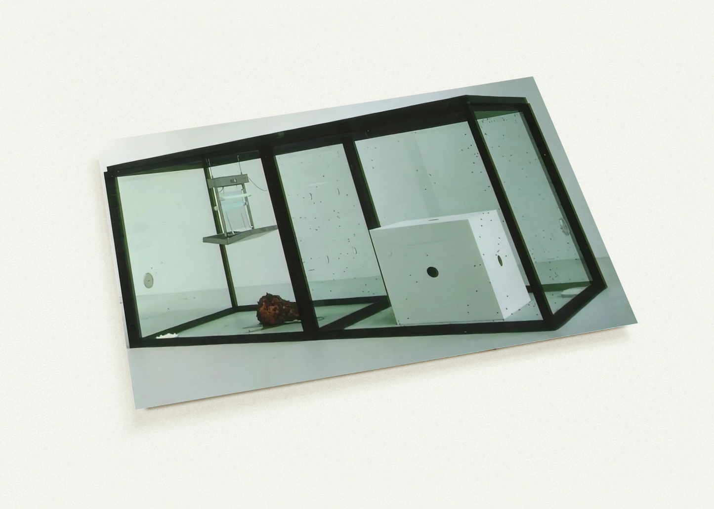 6976526e-4d46-42a8-9a33-75765f11dc19