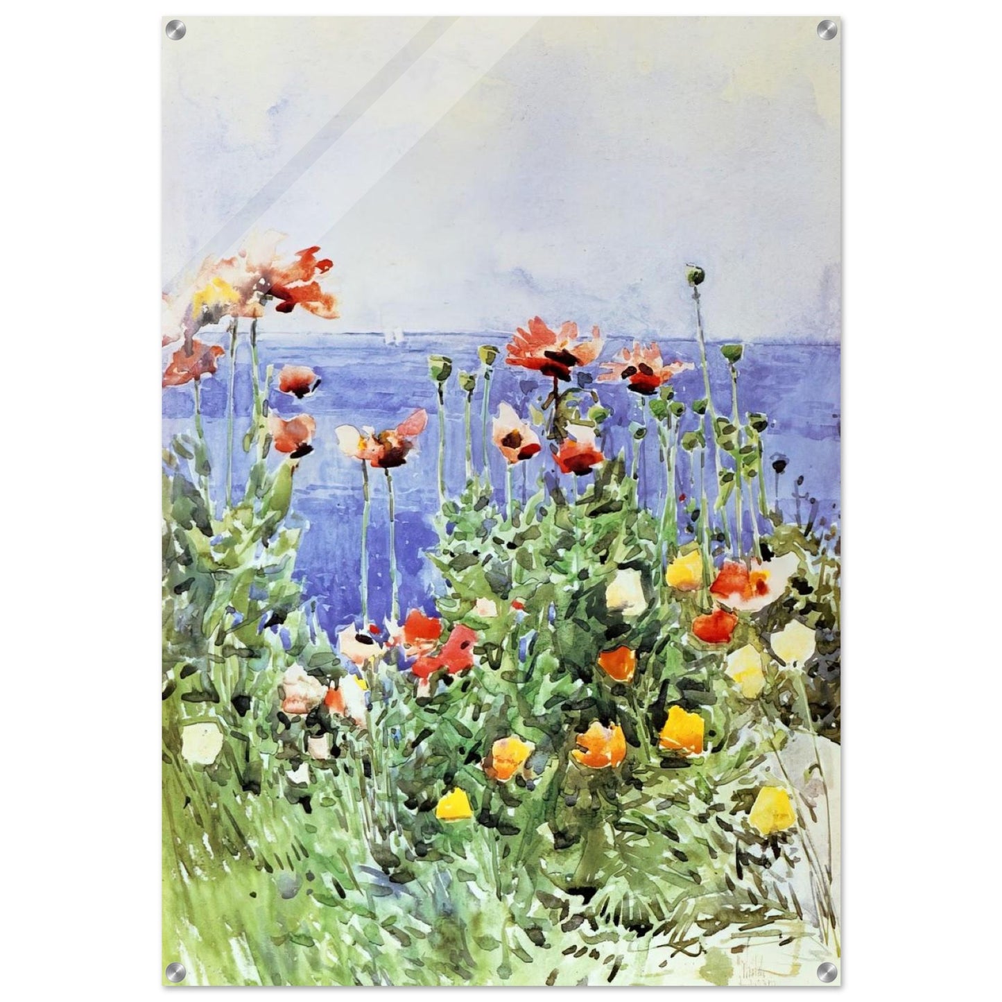 Poppies, Isles of Shoals 02 - Childe Hassam Acrylic Print - 70x100 cm / 28x40″ inches | Childe Hassam Wall Art | Childe Hassam Prints