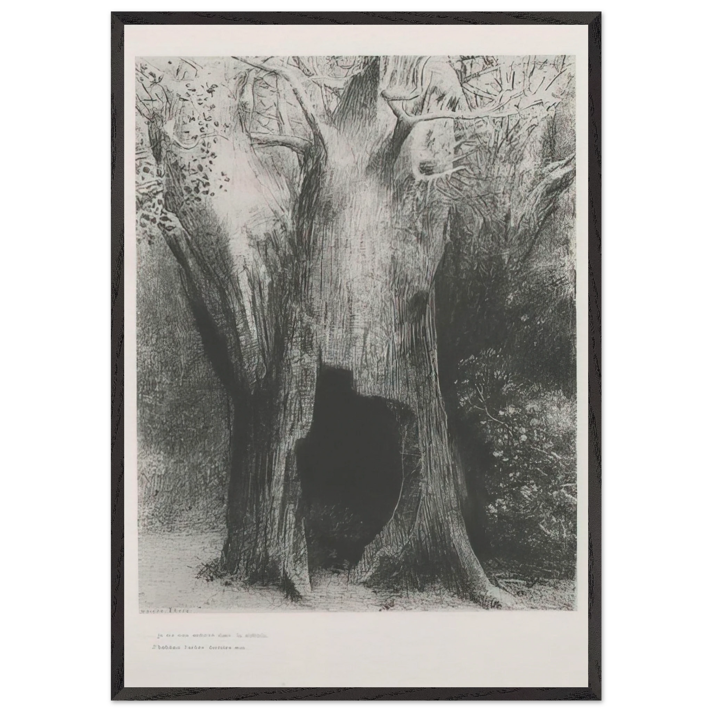 I PLUNGED INTO SOLITUDE I DWELT IN THE TREE BEHIND ME PLATE 9 1896 - Odilon Redon Framed Art Print – Black Wooden Frame - Default Title - -Framed Art Print