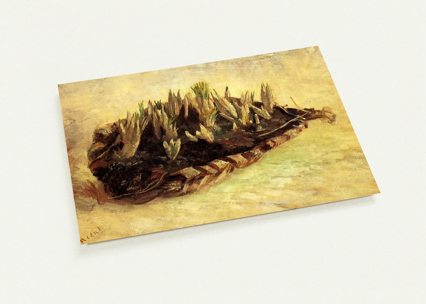 6c569c3e-8bf7-435e-9c39-fc38ac511c59