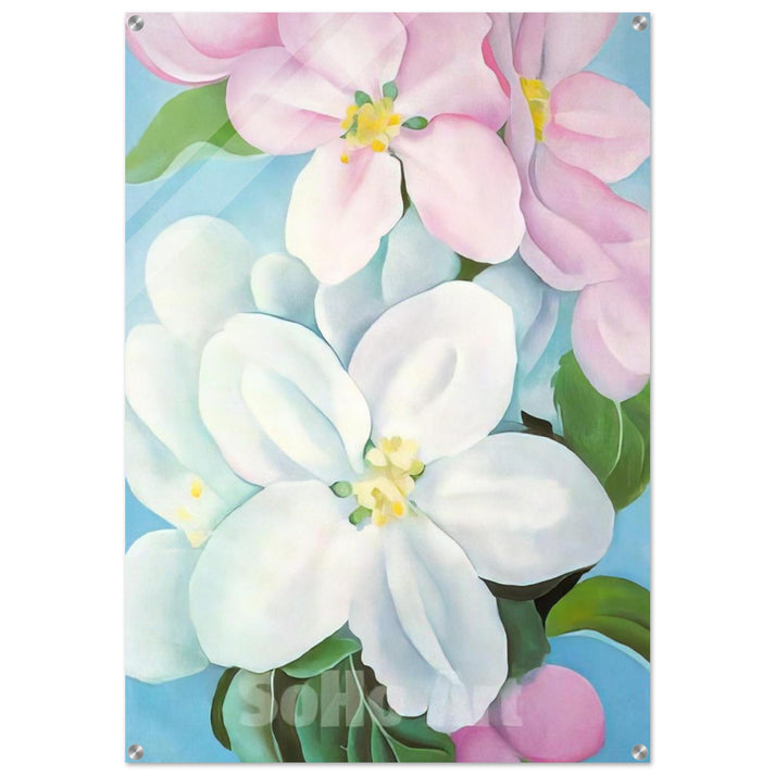 Apple Blossoms - Georgia O'Keeffe Acrylic Print - 70x100 cm / 28x40″ inches