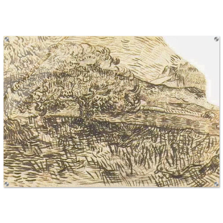 Olive Trees in a Mountain Landscape - Vincent van Gogh Acrylic Print - 70x100 cm / 28x40″ inches | Vincent van Gogh Wall Art | Vincent van Gogh Prints