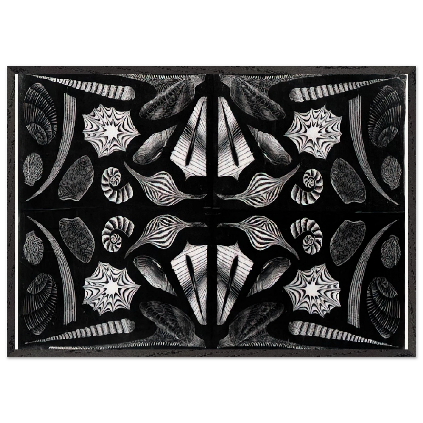 ESCHER 5 - MC Escher Framed Art Print – Black Wooden Frame - Default Title - -Framed Art Print