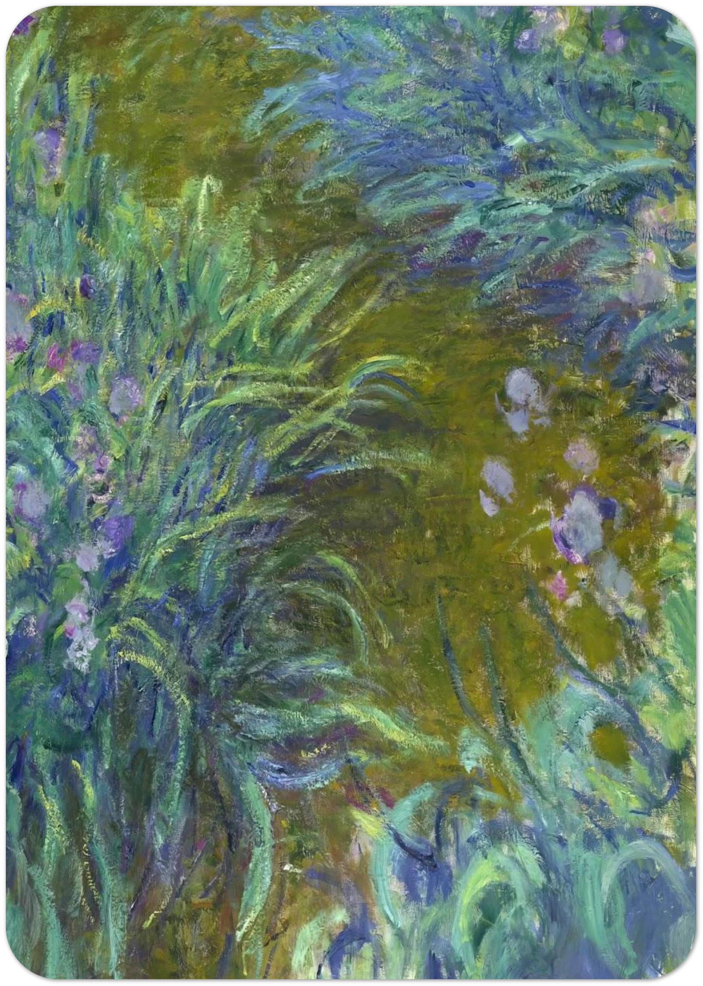 Path through the Irises 02 By claude monet Pack of 10 Post Cards | claude monet Post Cards | A6 (10.5 x 14.8 cm) - 4.1 x 5.8 inches