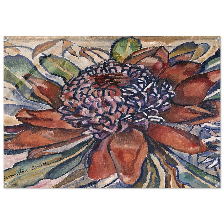 Waratah - 1928 - Grace Cossington Smith Acrylic Print - 70x100 cm / 28x40″ inches