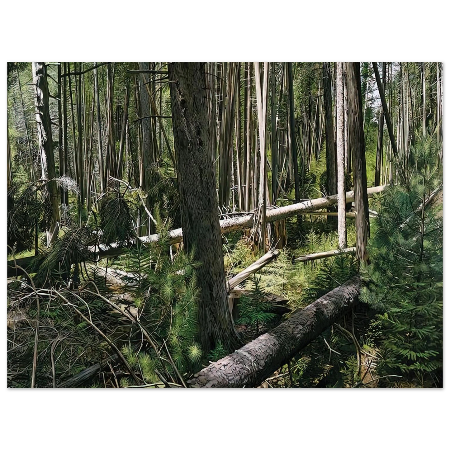 Richard Estes - NEAR HUNTERS BEACH ACADIA NATIONAL PARK 2008 Fine Art Poster - Default Title