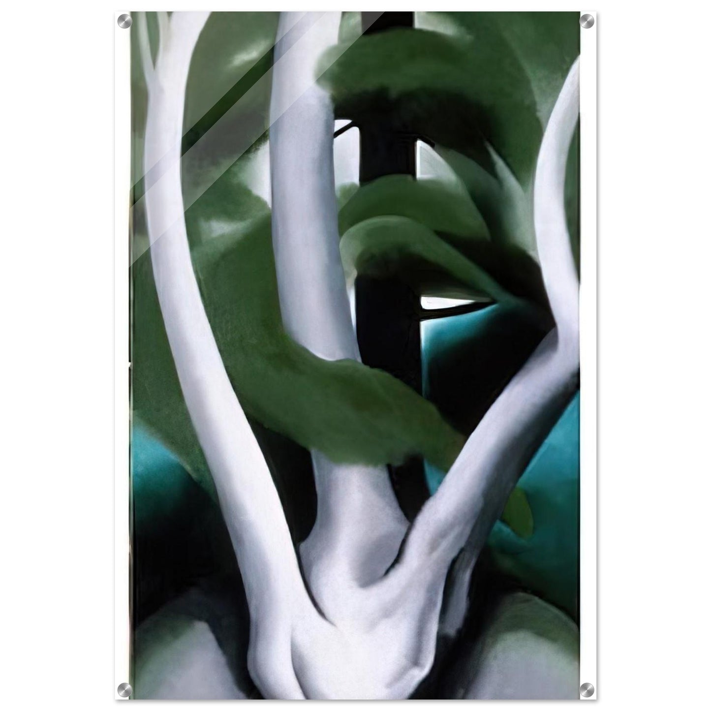 Birch and Pine Tree No. 1 - Georgia O'Keeffe Acrylic Print - 70x100 cm / 28x40″ inches