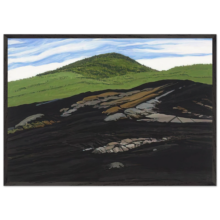 Blueberry Burn Moreys Hill - 1997 - Neil Welliver 70x100 cm / 28x40 inches Framed Art Print – Black Wooden Frame