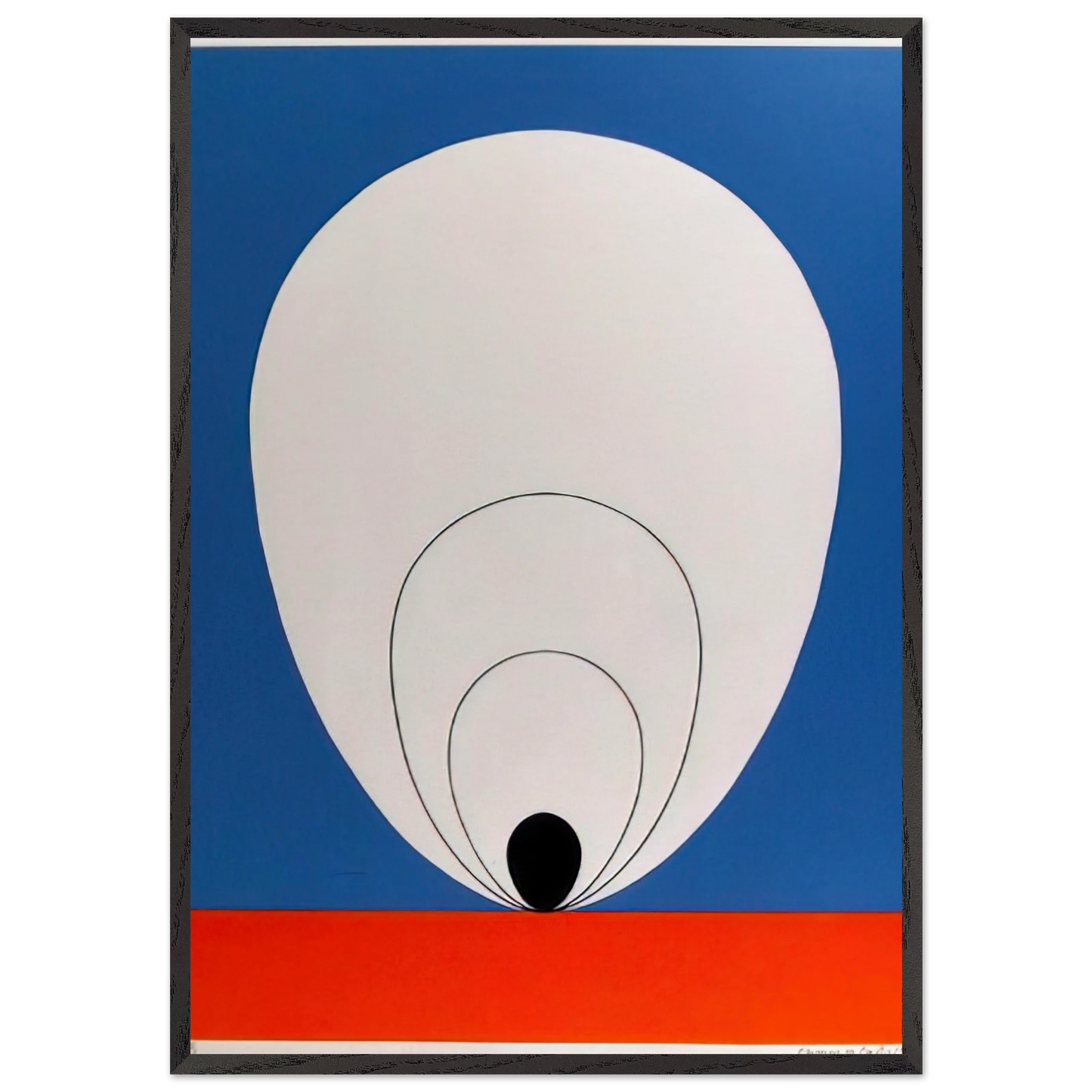 Tulip - 1978 - Clarence Holbrook Carter 70x100 cm / 28x40 inches Framed Art Print – Black Wooden Frame