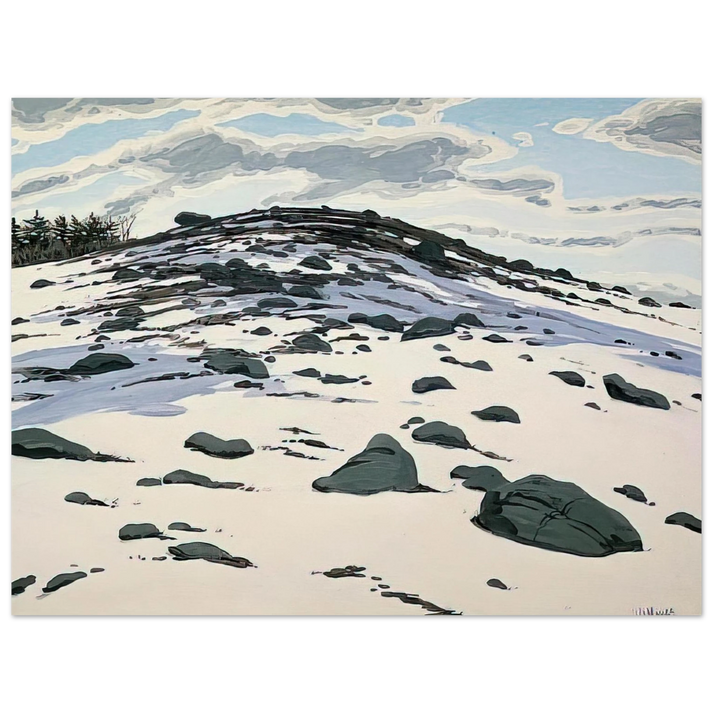 Neil Welliver - Shadow on Frankfort Barren - 1982 75x100 cm / 30x40inches Fine Art Poster