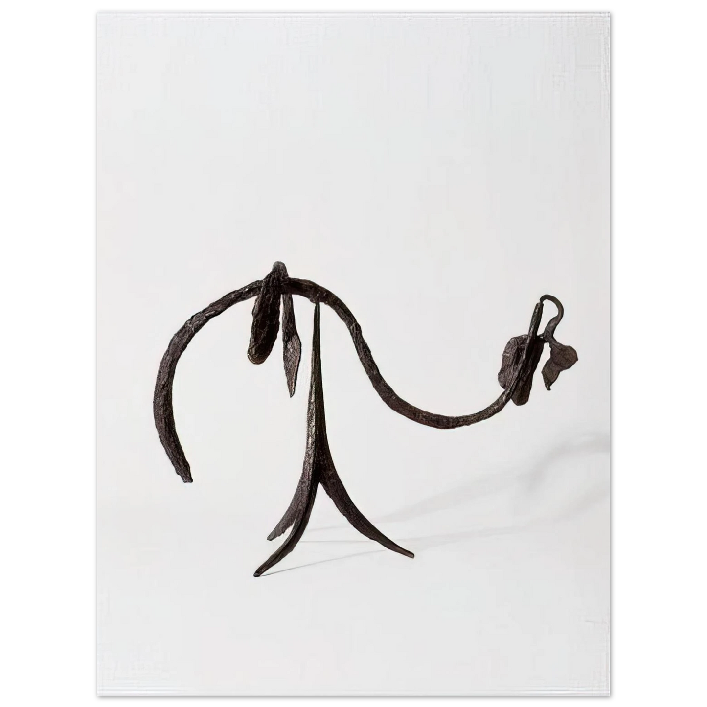 Alexander Calder - THE VINE 1944 Fine Art Poster - 13x18 cm / 5x7 inches