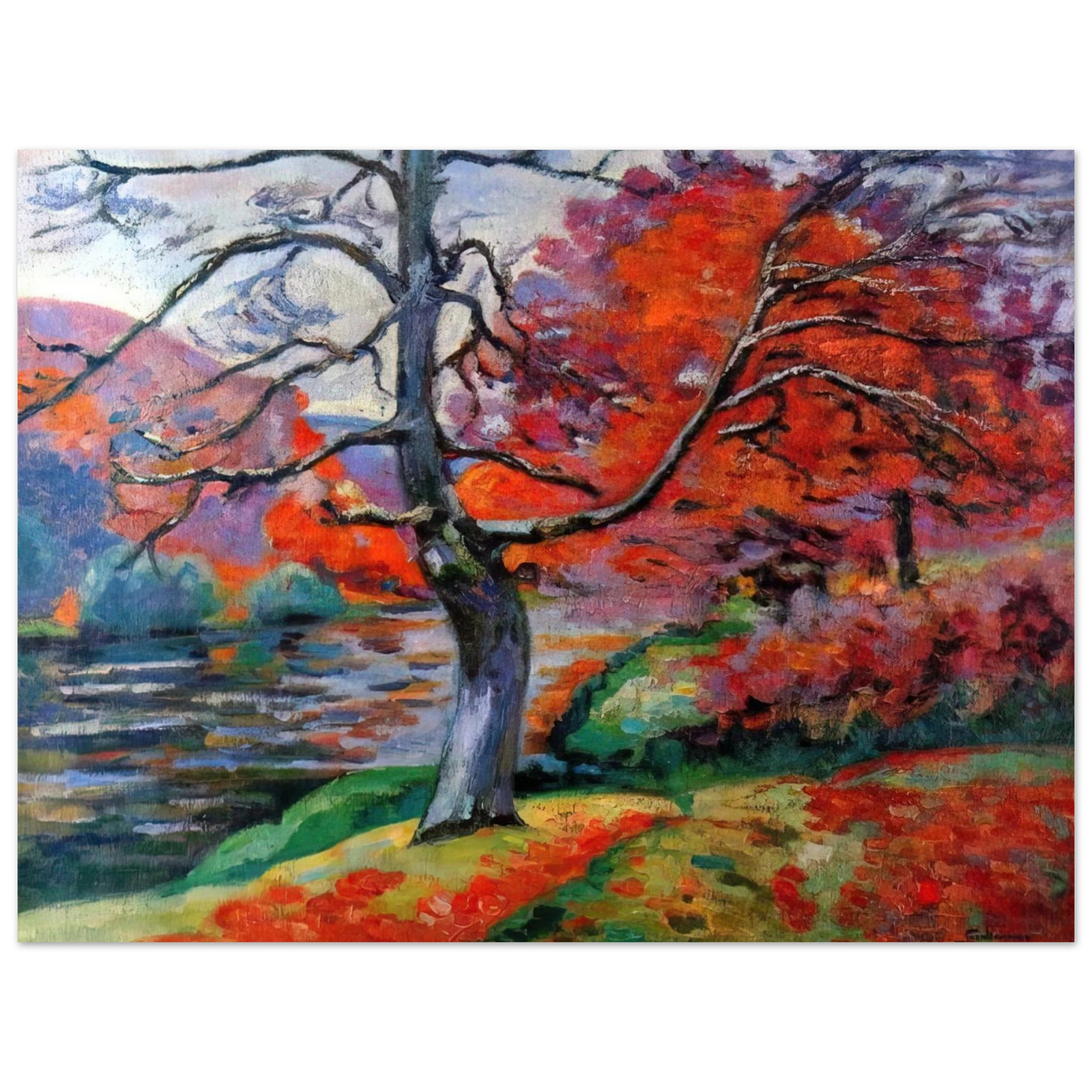 Armand Guillaumin - Echo Rock - 1905 Fine Art Poster - Default Title