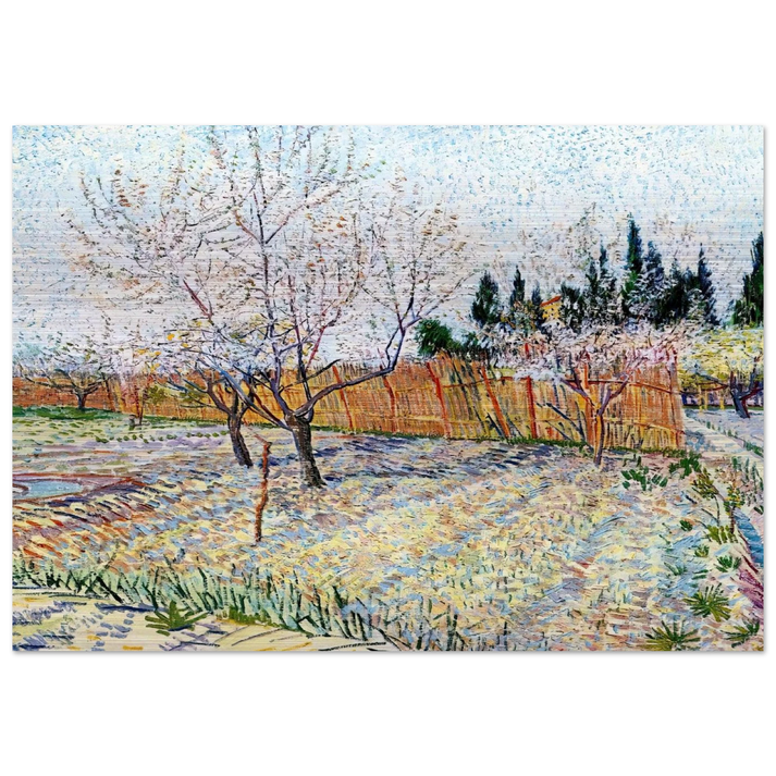 Orchard with Peach Trees in Blossom - Vincent van Gogh Brushed Aluminum Print - 70x100 cm / 28x40 inches | Vincent van Gogh Aluminum Print | Vincent van Gogh Prints
