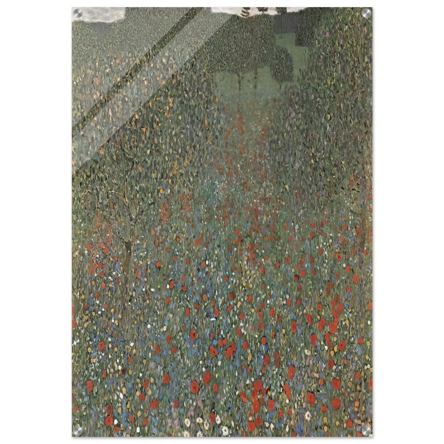 POPPY FIELD - Gustav Klimt Acrylic Print - 70x100 cm / 28x40″ inches