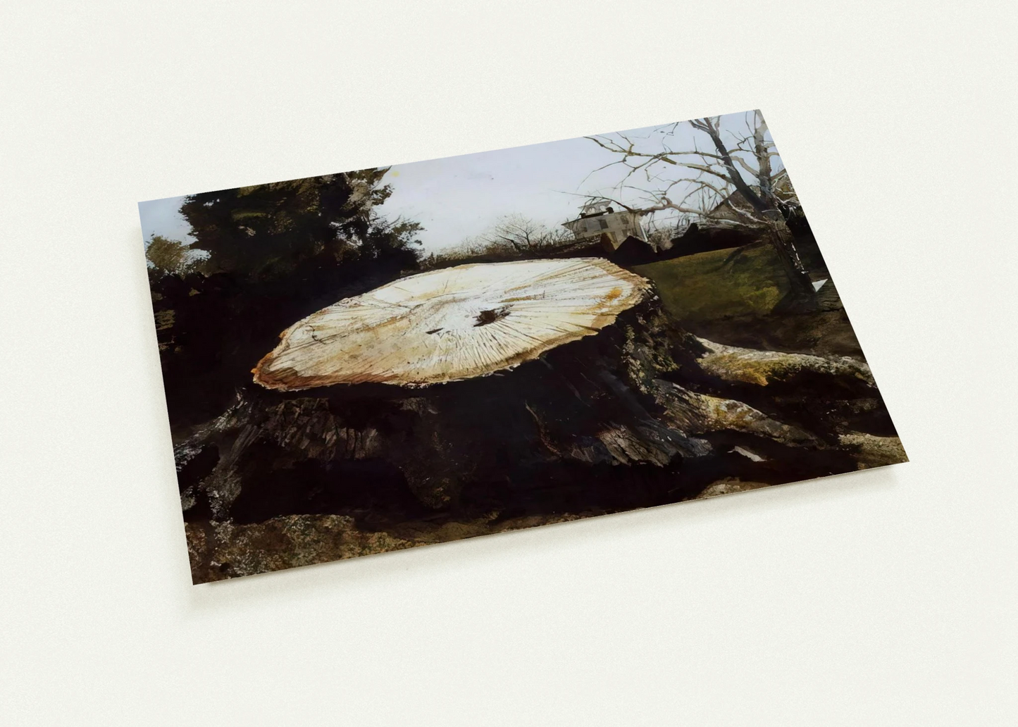 7cc5f44f-6b1e-471c-b24f-7f39fd5dc80e