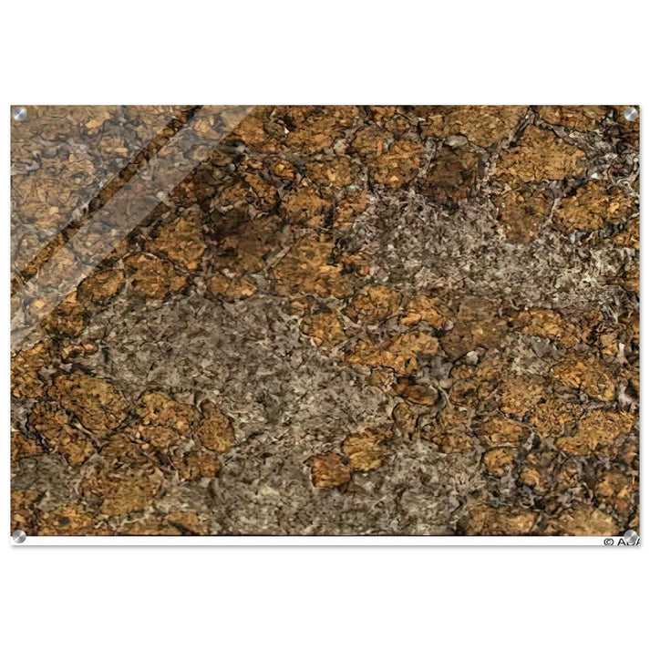 LIFE WITHOUT THE MAN III - Jean Dubuffet Acrylic Print - 70x100 cm / 28x40″ inches | Jean Dubuffet Wall Art | Jean Dubuffet Prints