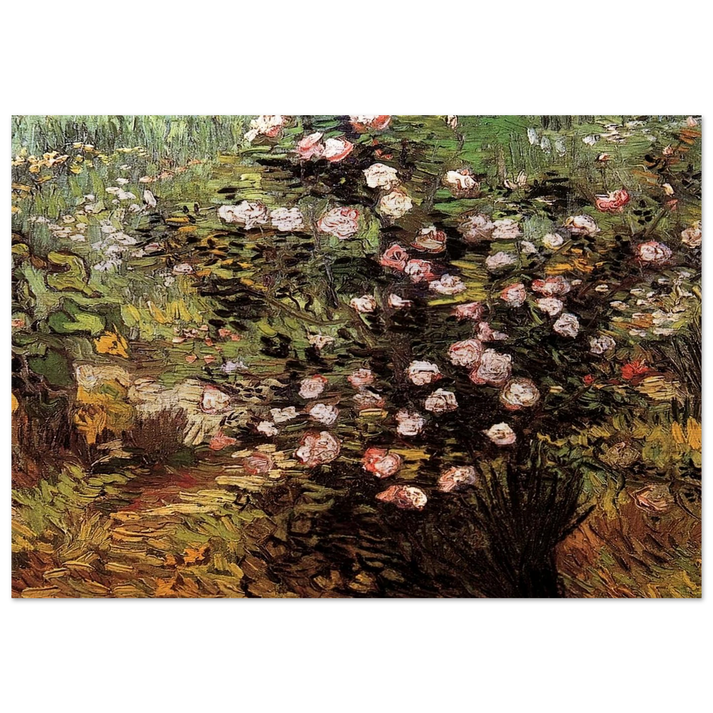 Rosebush in Blossom - Vincent van Gogh Brushed Aluminum Print - 70x100 cm / 28x40 inches | Vincent van Gogh Aluminum Print | Vincent van Gogh Prints
