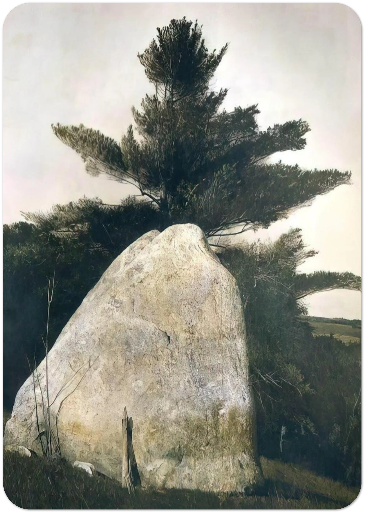 7ea54a26-40bc-4811-9299-90699e5f2f4a