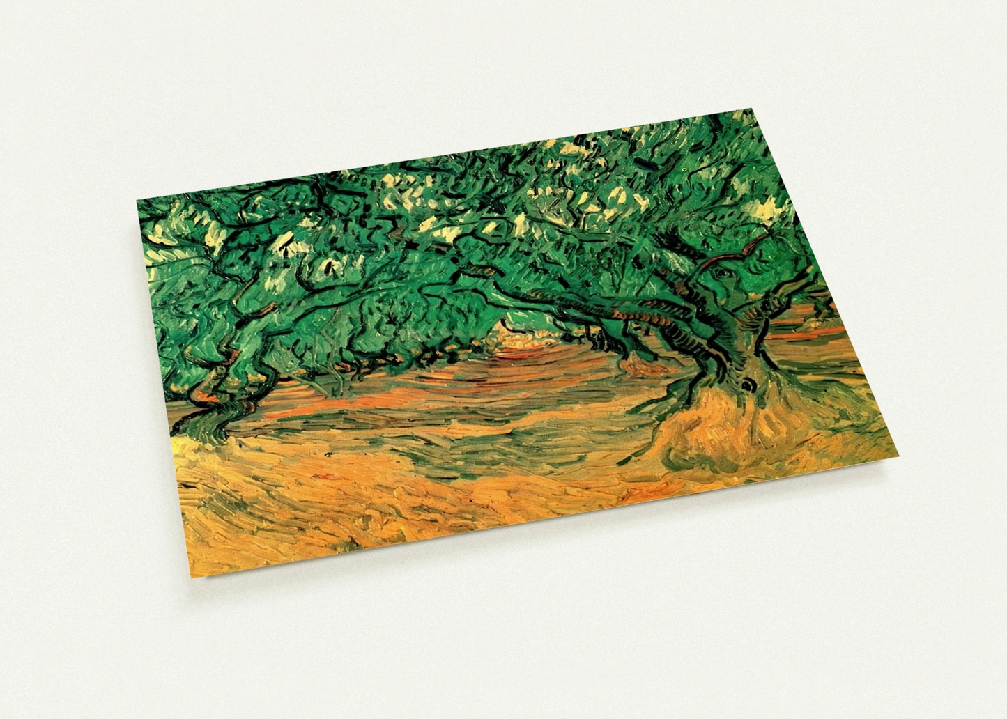 Olive Trees By Vincent van Gogh Pack of 10 Post Cards | Vincent van Gogh Post Cards | A6 (10.5 x 14.8 cm) - 4.1 x 5.8 inches