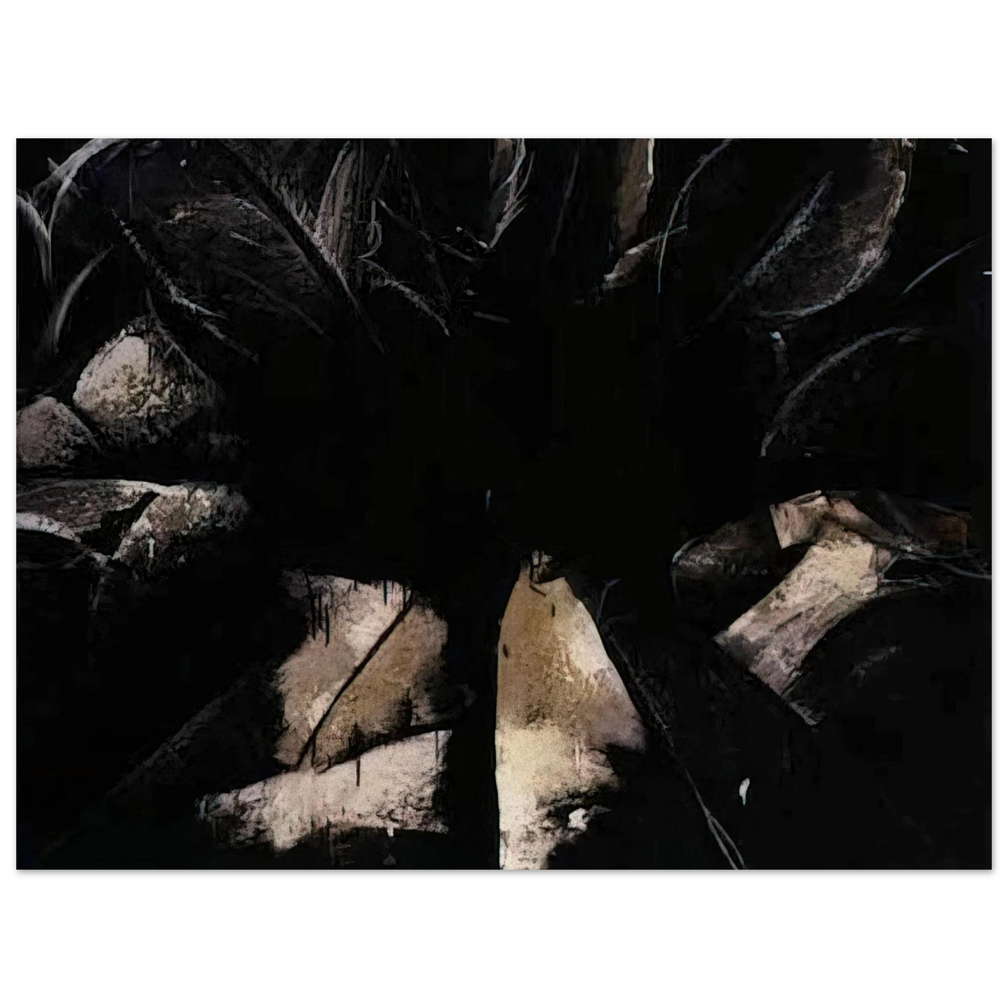 Jay DeFeo - Jay DeFeo/BIG/Cabbage Rose Fine Art Poster - Default Title