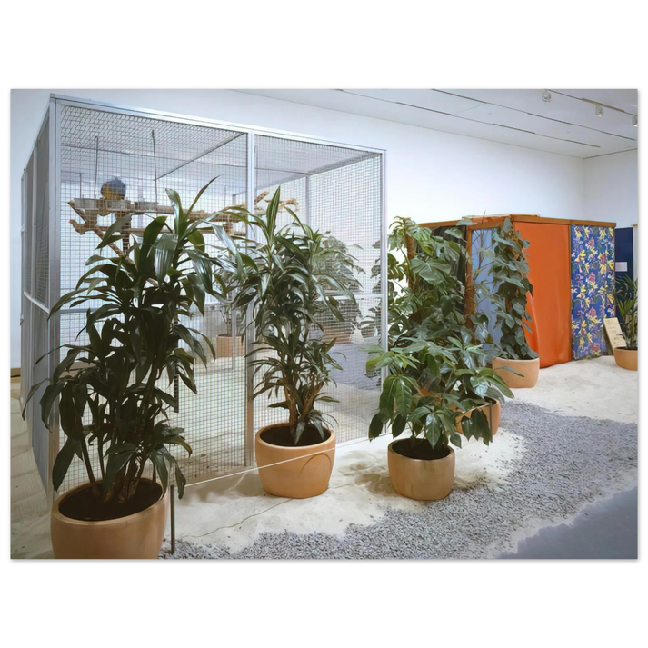 Helio Oiticica - Tropicália, Penetrables PN 2 'Purity is a myth' and PN 3 'Imagetical' 75x100 cm / 30x40inches Fine Art Poster