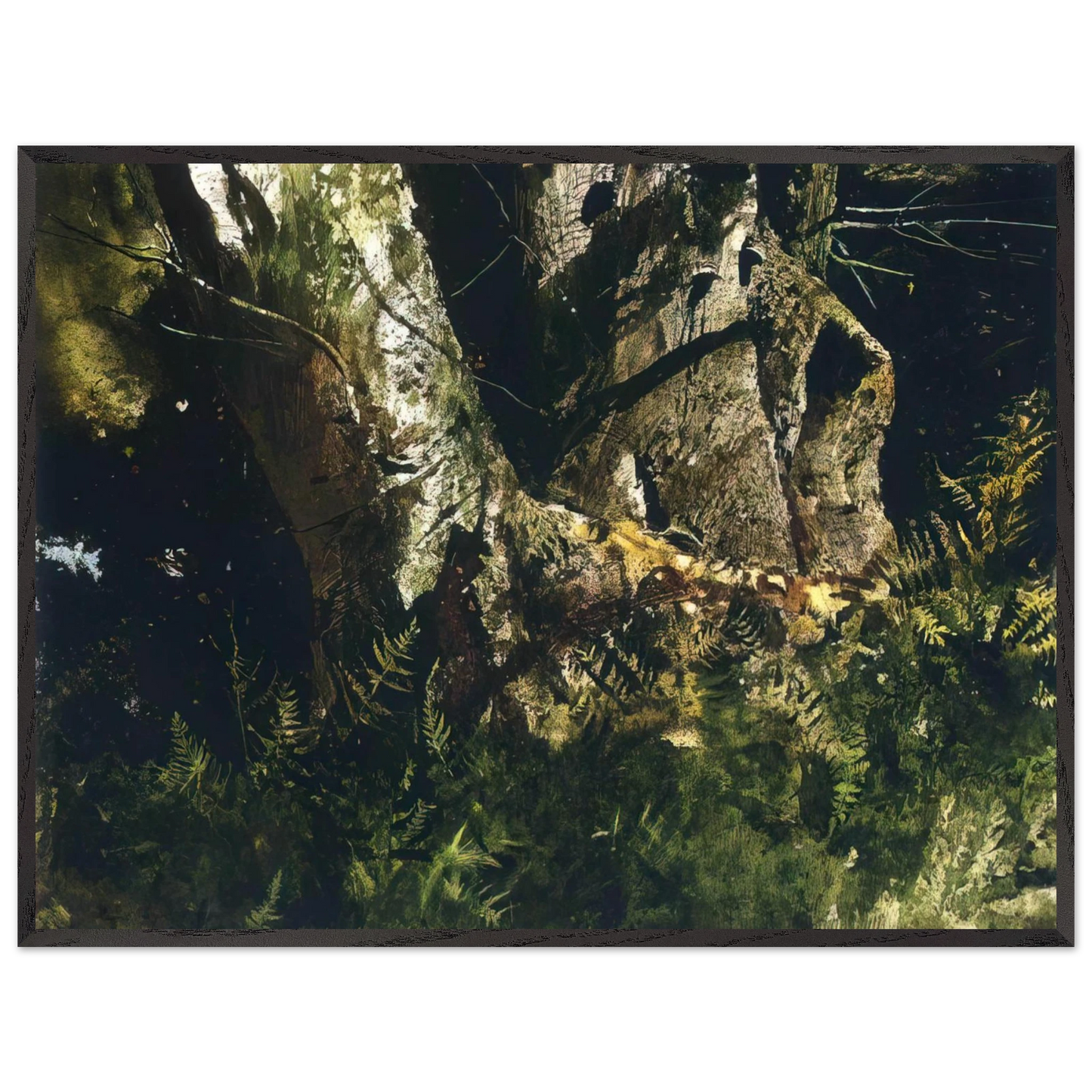 Andrew Wyeth - VIRGIN BIRCH 1982 Wall Art - 60x80 cm / 24x32 inches - Premium Wooden Framed Poster With Fine Art Paper - Black frame