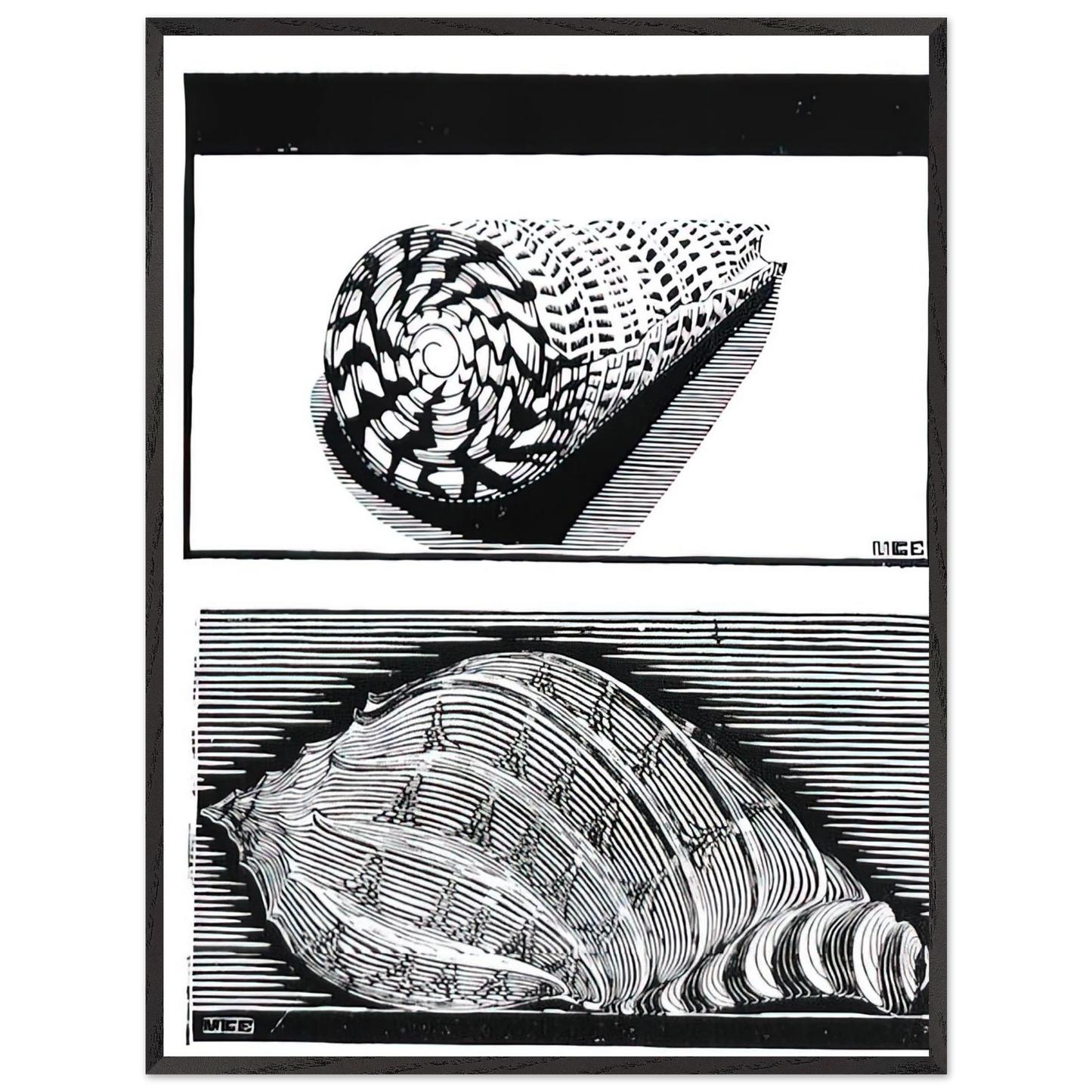 MC Escher - SEA SHELLS Wall Art - 60x80 cm / 24x32 inches - Premium Wooden Framed Poster With Fine Art Paper - Wood frame
